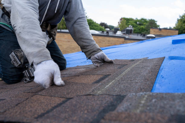Professional Roofing Contractor in Genesee, ID