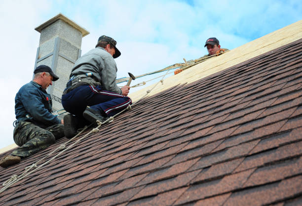 Roof Gutter Cleaning in Genesee, ID